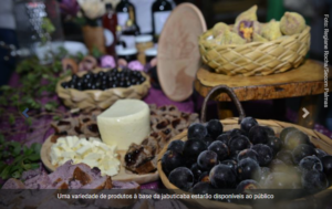 Prefeitura de Palmas é parceira da 4° Festa da Colheita da Jabuticaba